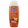 8002410009613Neutro Roberts Doccia Shampoo Energizzante - Cedro E Zenzero 250ml