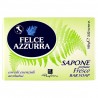 8001280307621Felce Azzurra Sapone Solido Profumo Fresco 100gr