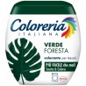 8015100571949Coloreria Italiana Colorante Verde Foresta 350gr