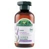 8015700165777Antica Erboristeria Shampoo Lavanda New 250ml