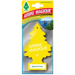 8034136461239Arbre Magique Mediterraneo Agrumi di Capri 1pz