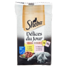 4770608261597Sheba Cat Delices Du Jour Pollo/Salmone 6x50gr