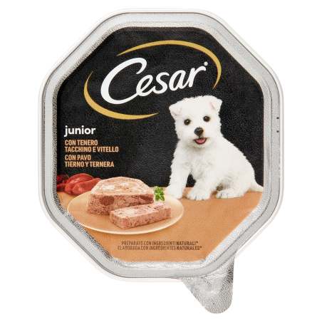 4008429121791Cesar Patè Puppy Vitello e Tacchino 150gr