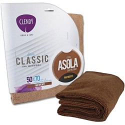 8033532104061Clendy Panno Microfibra Con Asola 50x70cm New 1pz