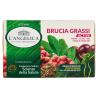 8017331098974L'Angelica Tisana Brucia Grassi Active 18 Filtri