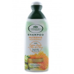 8017331040898L'angelica Shampoo Nutriente 250ml