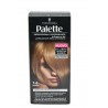 8015700152951Testanera Palette N. 7-6 Biondo